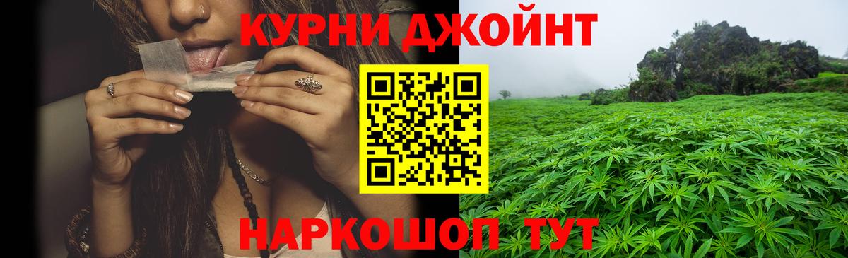Бошки Шишки тримм  Вход с VPN  Шишки марихуана план  Шишки марихуана OG Kush  Хасавюрт 